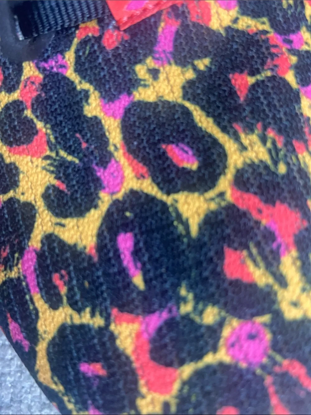 Brooks bold leopard